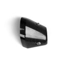 Akrapovic OEM BMW Hitzeschild Lower (Carbon) für BMW...