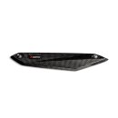 Akrapovic Hitzeschild (Carbon) für BMW F 900 XR -...