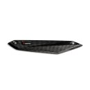 Akrapovic Hitzeschild (Karbon) für BMW F 900 R; BMW...