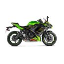 Akrapovic Racing Line (Titan) für Kawasaki Ninja 650 BJ 2017 > 2020 (S-K6R12-HEGEHT)