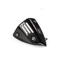 Akrapovic Hitzeschild (Karbon) für VESPA GTS 125 / Super / Sport / Tech; VESPA GTS 250; VESPA GTS Super 300 / Sei Giorni / Tech; VESPA GTV 250; VESPA GTV 300 (P-HSVE3SO1)