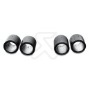 Akrapovic Endrohr Set (Carbon) für BMW M5 (F10); M6 (F12, F13); M6 Gran Coupé (F06) (TP-CT/10)