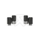 Akrapovic Endrohr-Set (Carbon) für PORSCHE Panamera / 4 / Sport Turismo (971) und weitere Modelle (TP-CT/48)